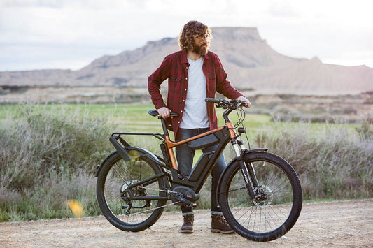 Bosch eBike Dual Battery Riese Und Muller