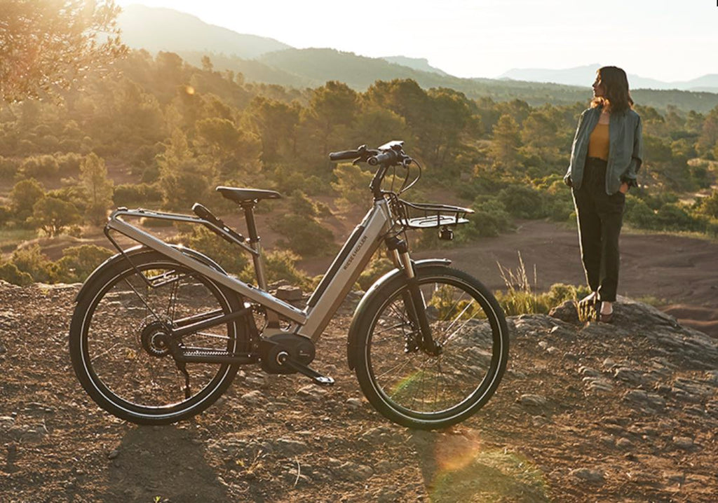 Riese & Muller Culture GT ebike