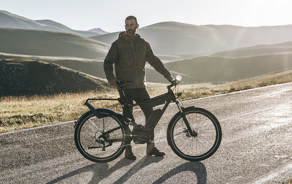 Riese & Muller Delite 25 Signature e-bike