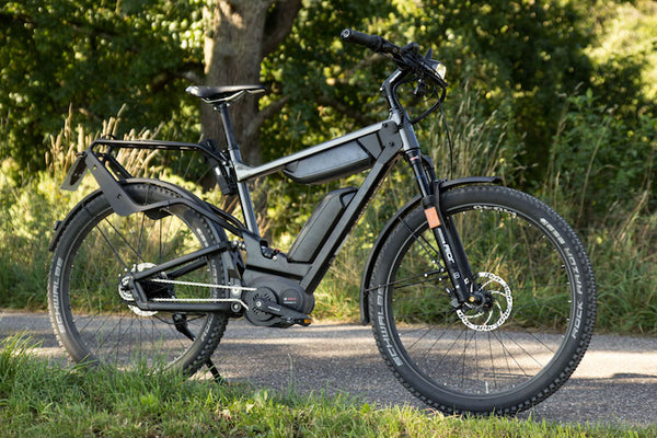 R&M Delite ebike with Rohloff hub
