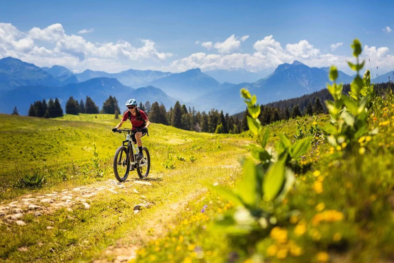 About Ebikes