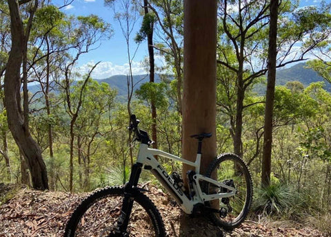 Focus Jam2 6.9 eMTB
