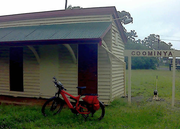Ways to Deter Swooping Magpies | Electric Bikes Brisbane