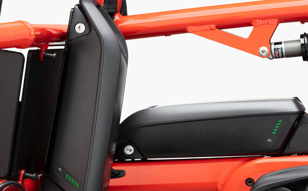 Electric bike battery - Riese & Muller Load 60 cargo with dual battery