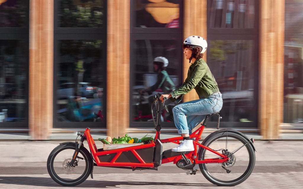 Bosch Cargo Line electric bike motor