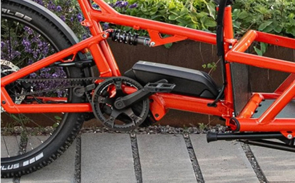 Riese & Muller Load 60 ebike with Bosch cargo line motor