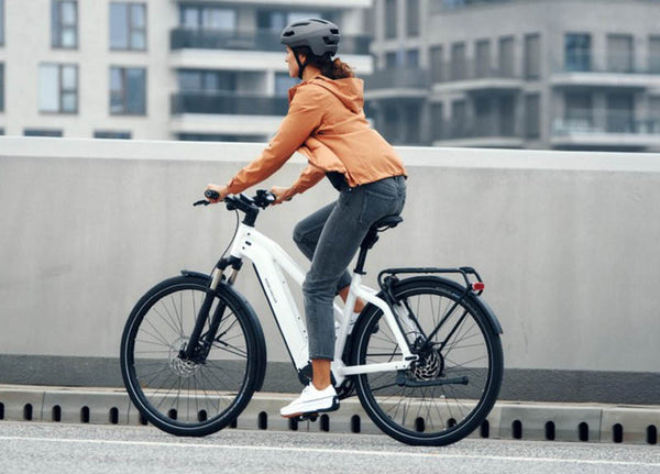 Riese & Muller Charger4 Mixte GT Vario E-Bike 750Wh EBike | Electric Bikes Brisbane