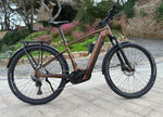Focus Aventura2 6.8 Eike, Gold | Electric Bikes Brisbane