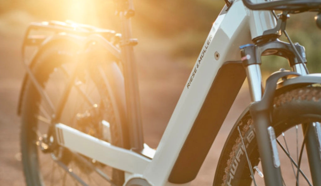 Riese & Muller Nevo GX ebike